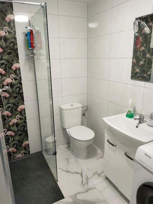 Apartament Flamingo Z Basenem Торевьиа Экстерьер фото